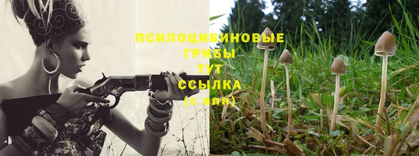 гидропоника Алексеевка